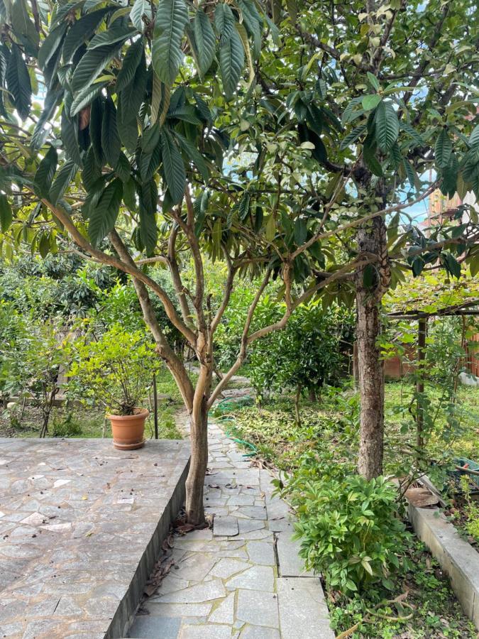 Apartmán Gardenie Kutaisi Exteriér fotografie